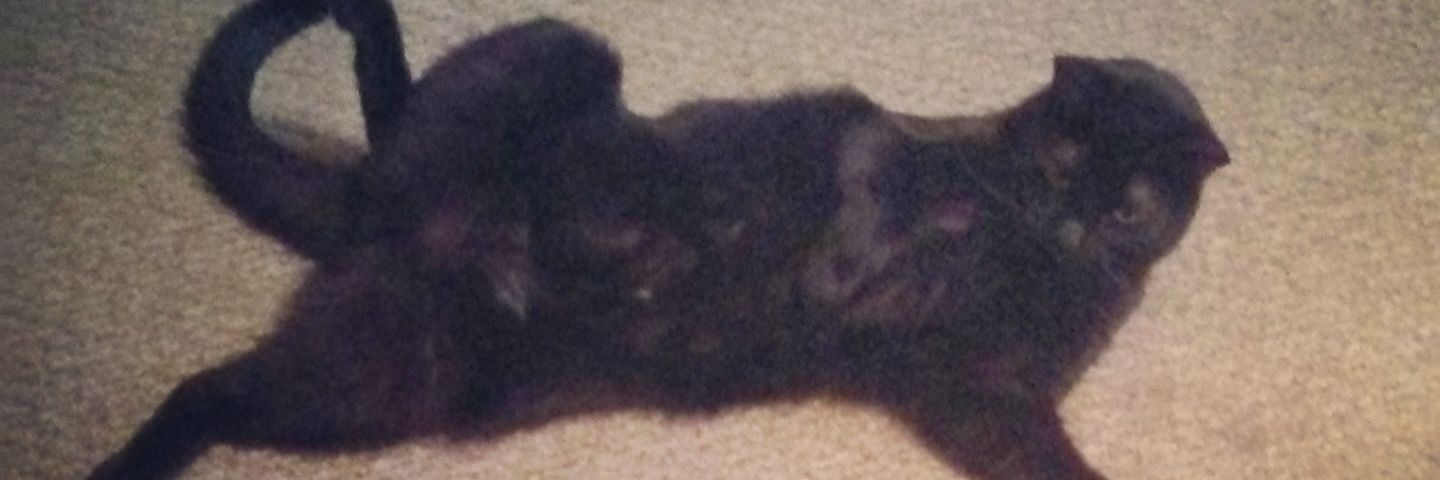 LeaAngel❤️ banner