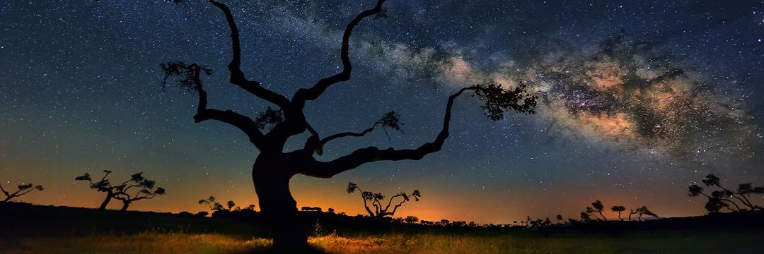 tweissxd's profile banner image