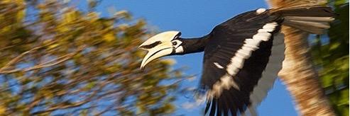 The Crowded Planet banner