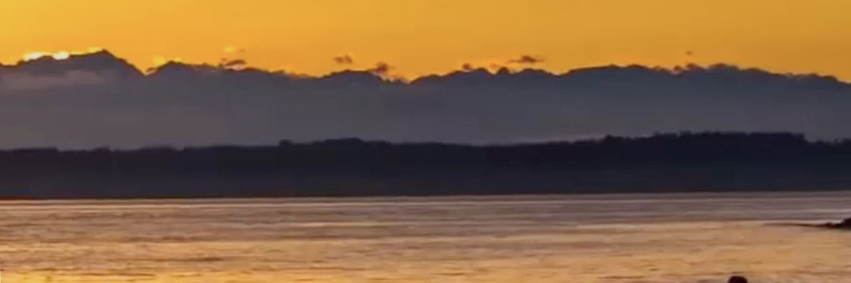 kingMe716 banner