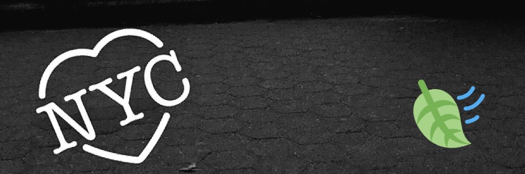 anneliseritacca's profile banner image