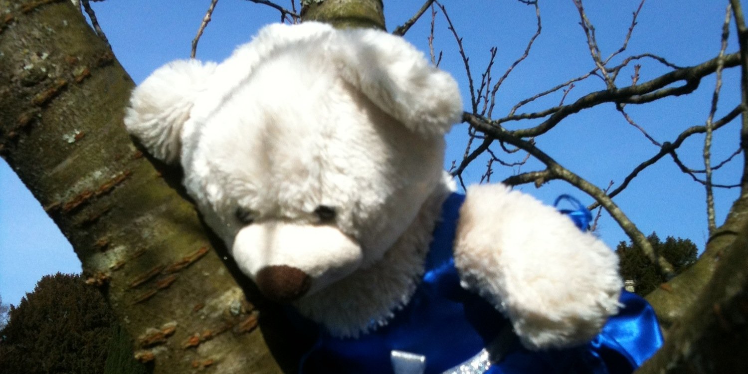 bears22548's profile banner image