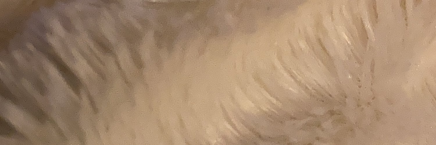 AAkermane's profile banner image