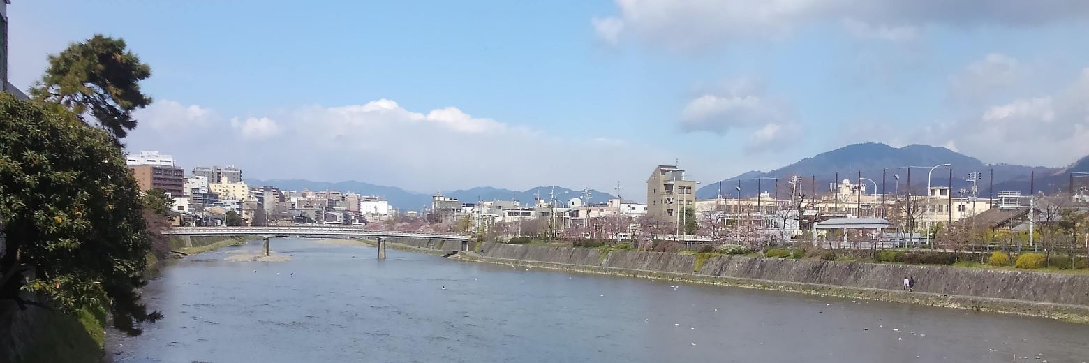どこかのもも banner
