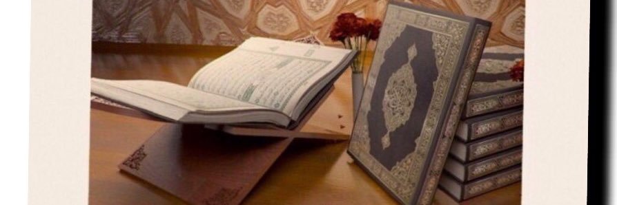 Alktani's profile banner image