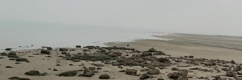 تسوى عيوني .. banner