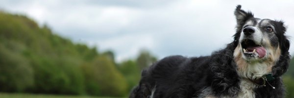 chrisnial Profile Banner