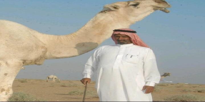MuTurki's profile banner image