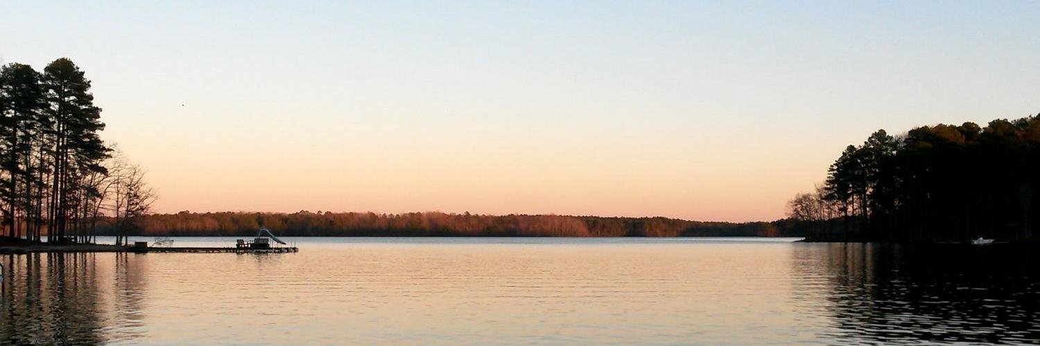 merfmartin's profile banner image