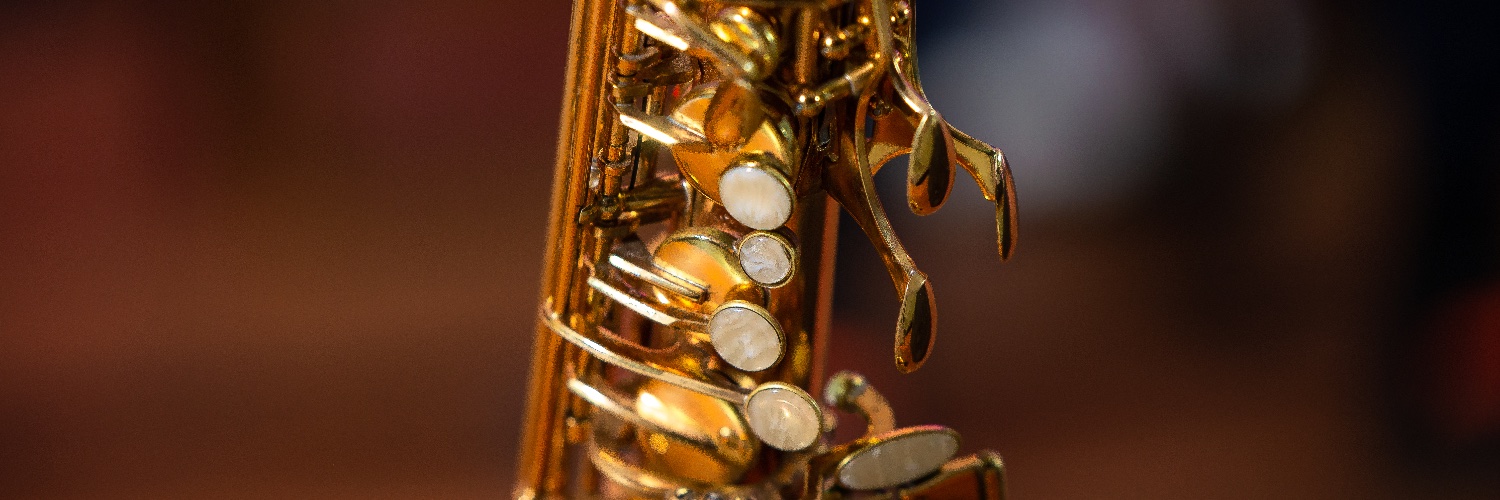 Vuyi_Sax's profile banner image