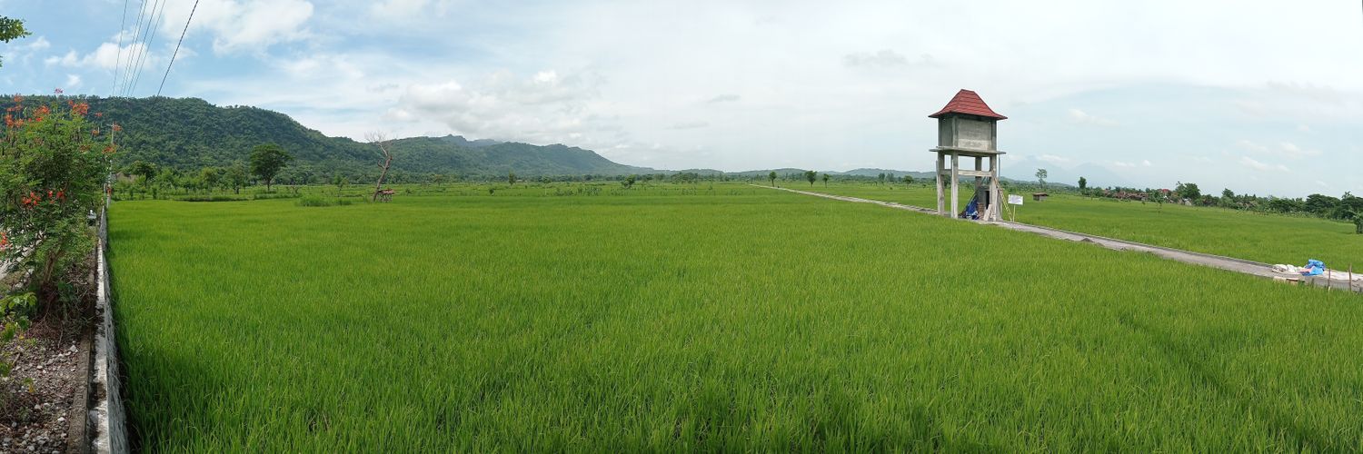 nggarista's profile banner image