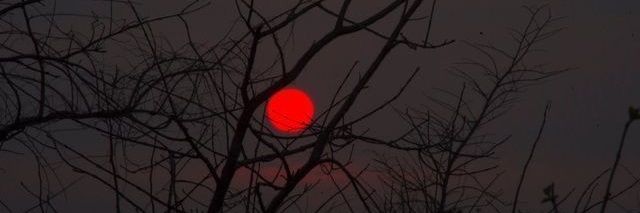 (🫀);; 𝐒𝐚𝐭𝐚𝐧 | 🇻🇪🕊️ banner