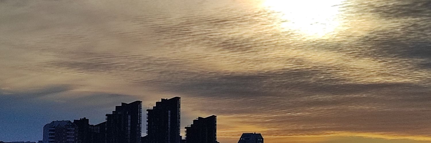 adriasegui64's profile banner image