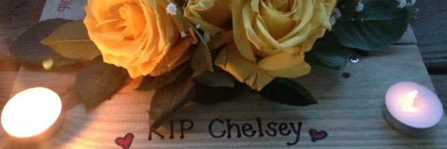 Nor_Kay's profile banner image