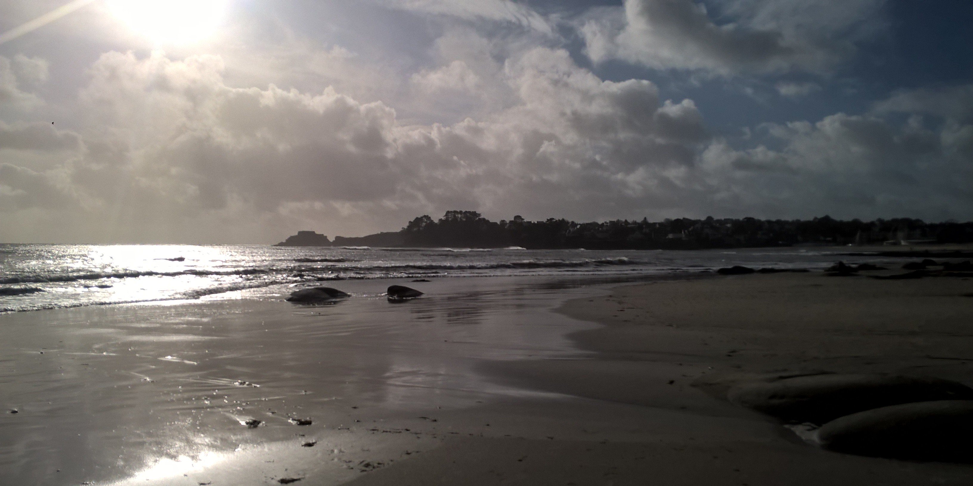 frin ronan banner