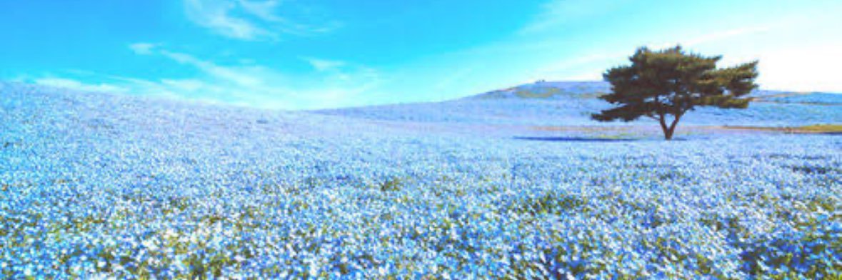 imwithyouimwith's profile banner image