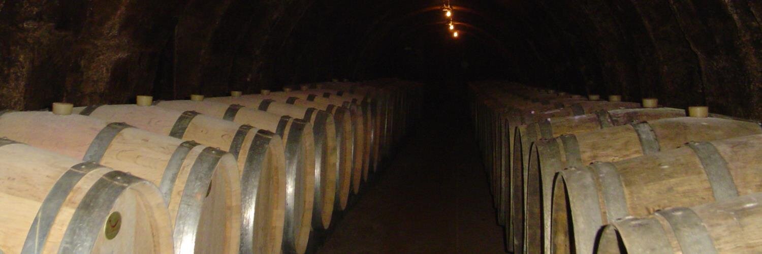 Château de Chaintres banner