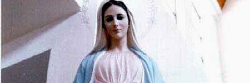 Mely Henricks banner