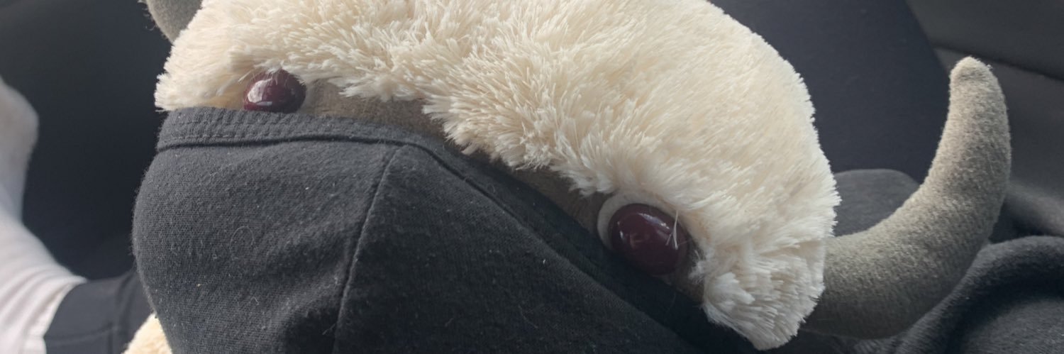 VollEmily's profile banner image
