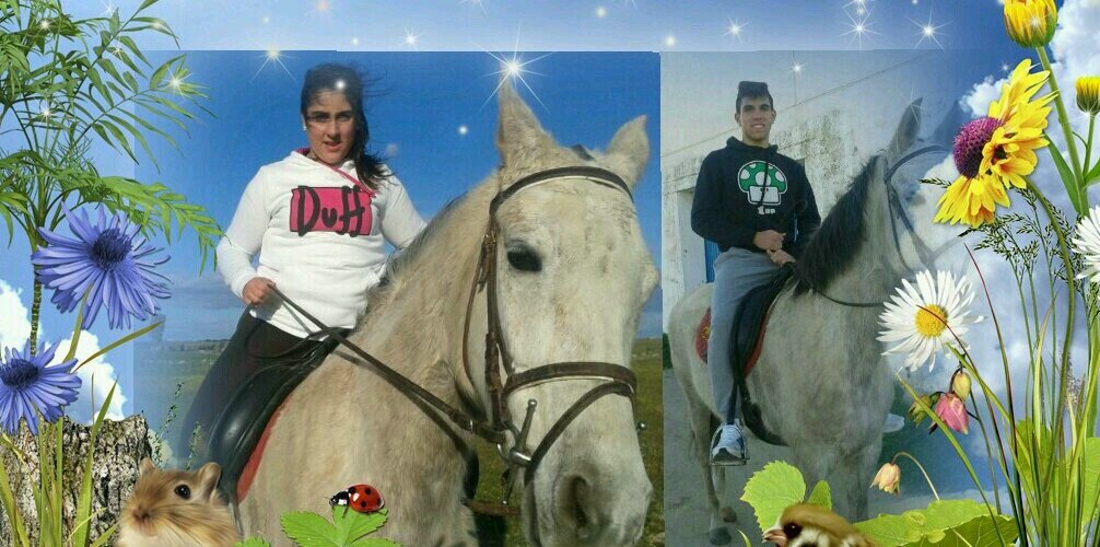 arias_las's profile banner image