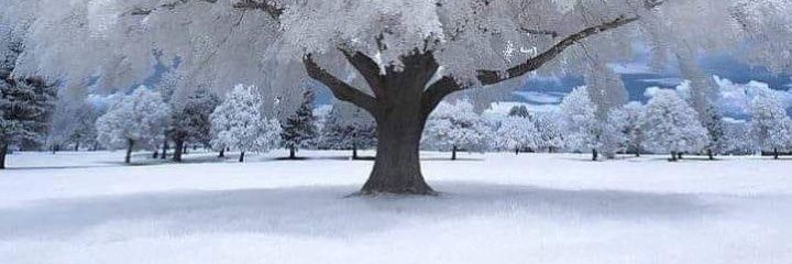 Tajudeen Waliu A. banner