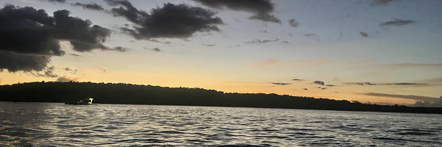 van.p banner