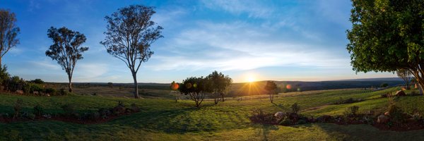 MurrayGiltedge Profile Banner