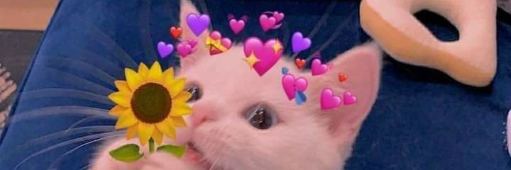 🇩🇴 Mrs Navy ✨️ banner