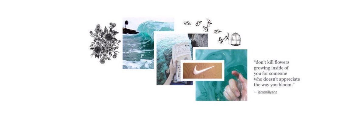 совкинс banner