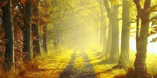JackquiNucka's profile banner image