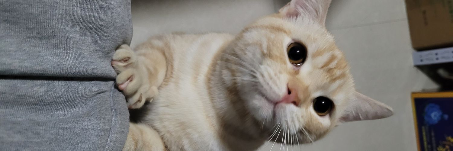 Orangeccc.pup 🌈🧦🧤🐻‍❄️ banner