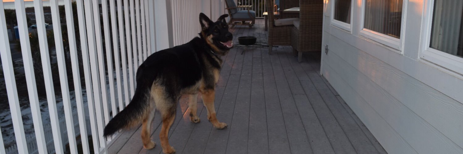 xox_sofie's profile banner image