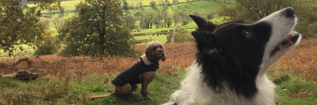 MATHEW HEEKS 🥑 banner