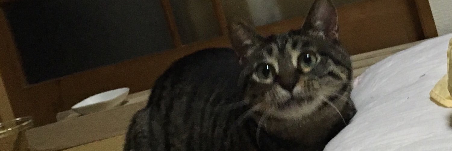 johnnystrobe5's profile banner image
