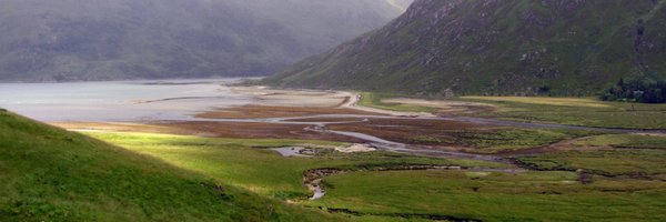CrowdHailer Profile Banner