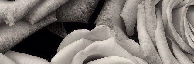 bida_e's profile banner image