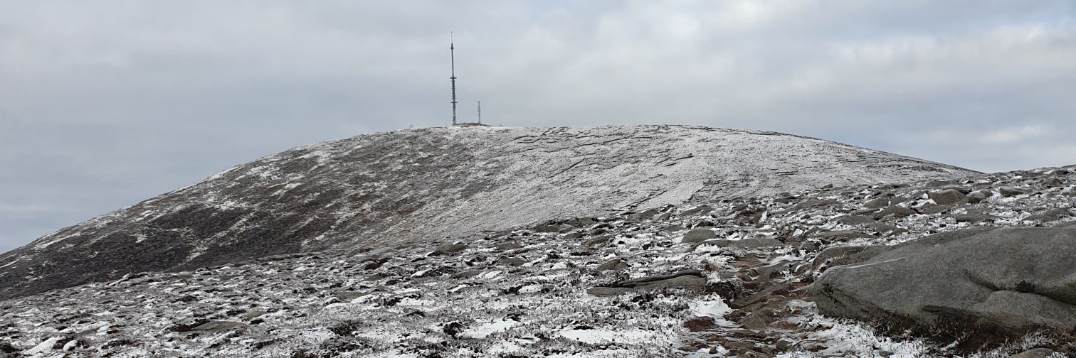 Shane furlong banner