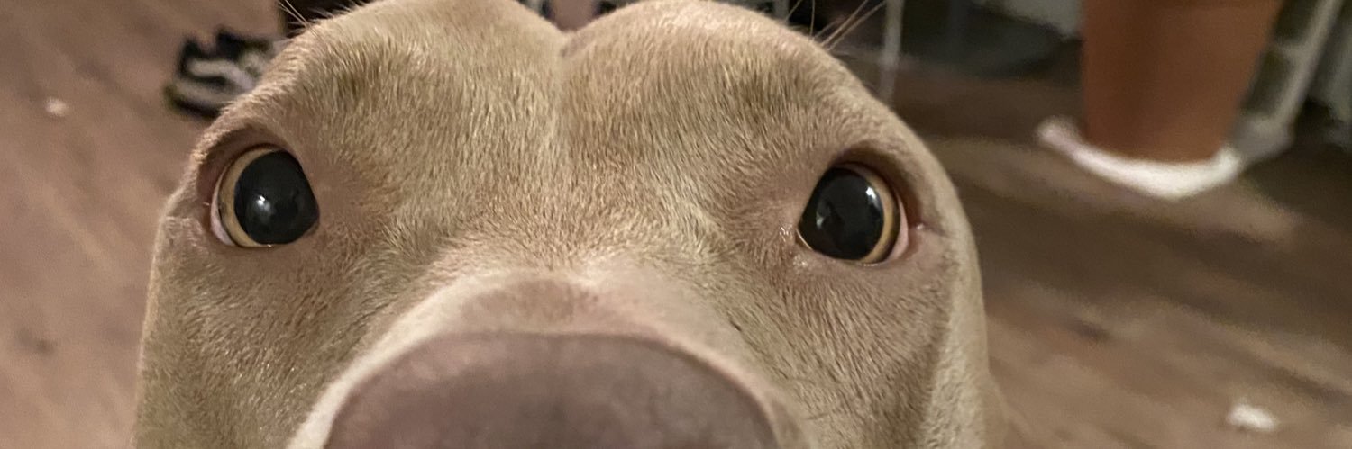 keekscrensh45's profile banner image