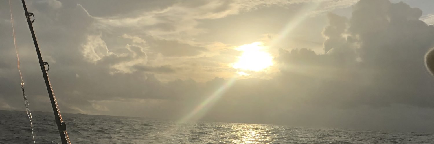 madeiros35's profile banner image