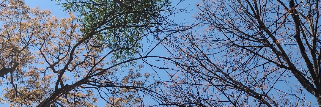 MarcosBotsi's profile banner image