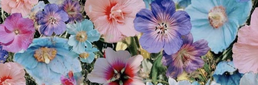 charlottequickx's profile banner image