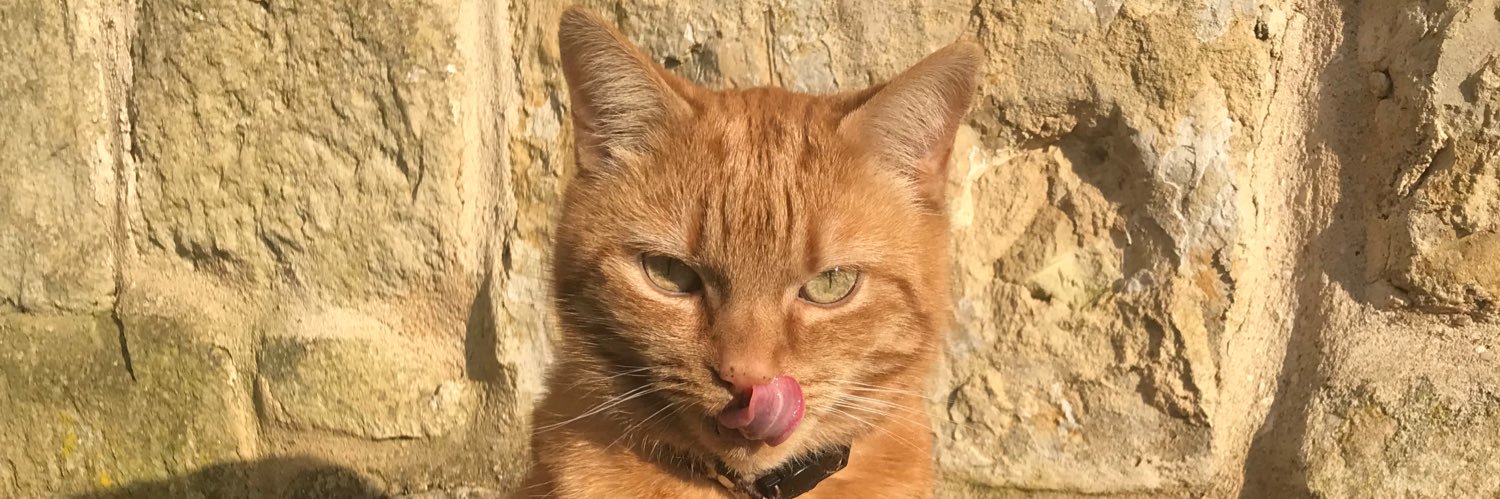 Imogen Gordon Clark banner