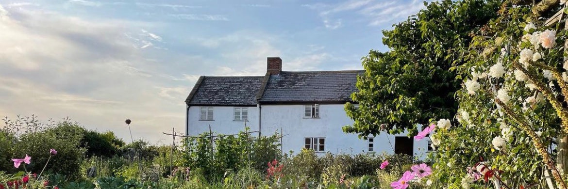 Hugh Fearnley-Whittingstall banner