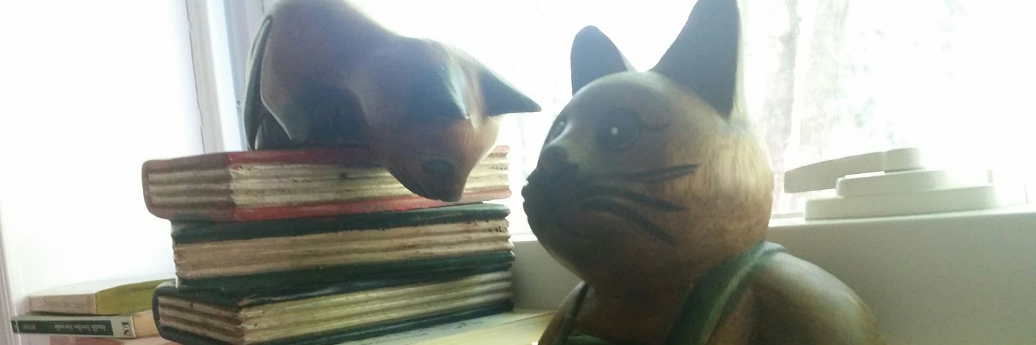 El Gato Literato banner