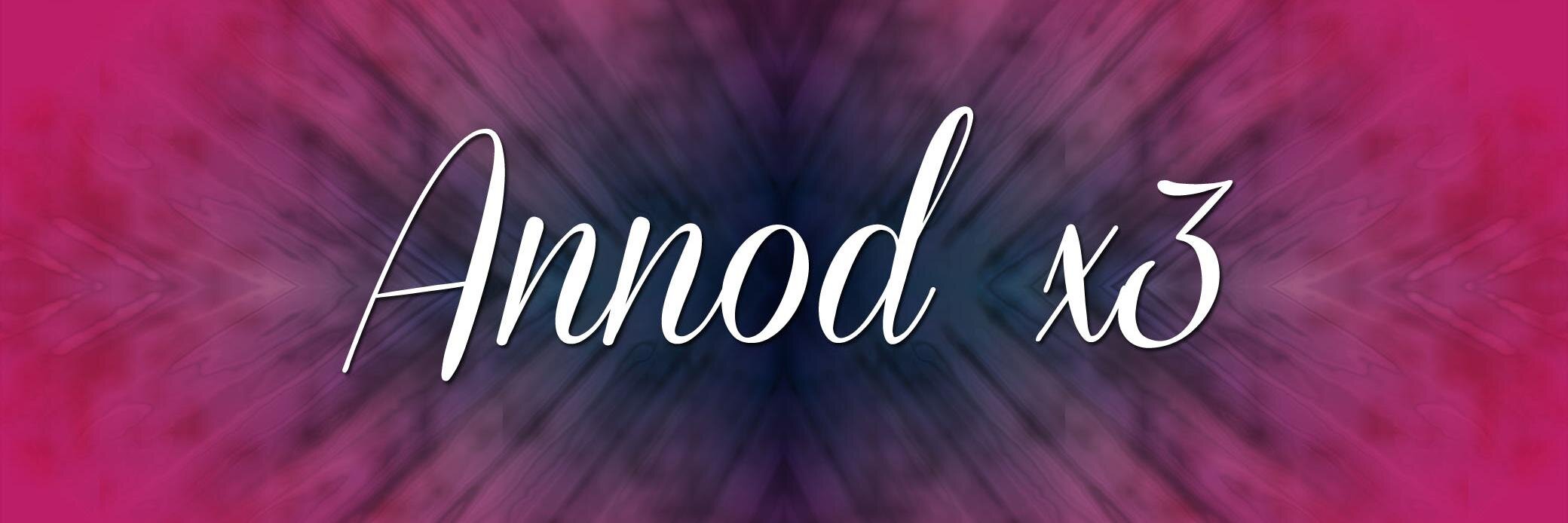 Donna Capobianco banner