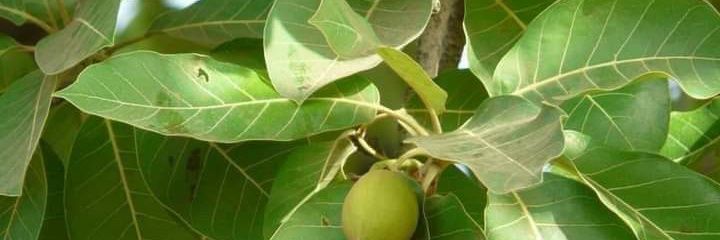 PabitraKumar75's profile banner image