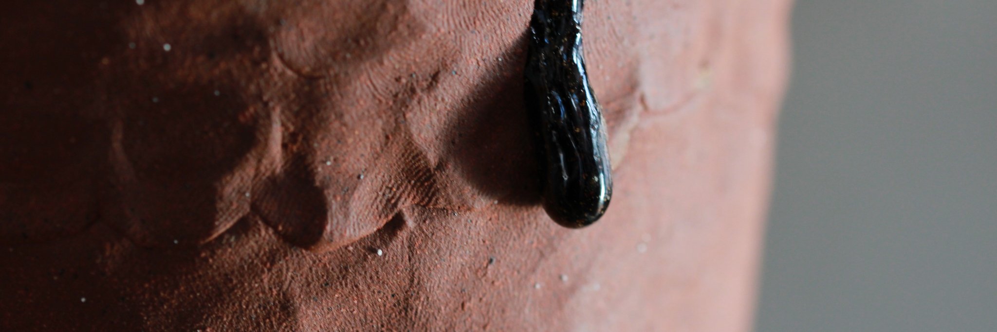 Toni De Jesus banner