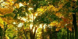 moooonb6765's profile banner image