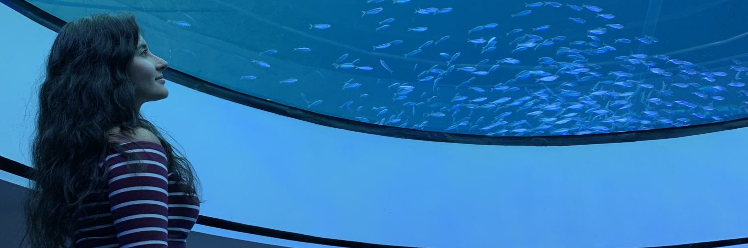 karpenkopff's profile banner image