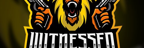 Vaaroz's profile banner image